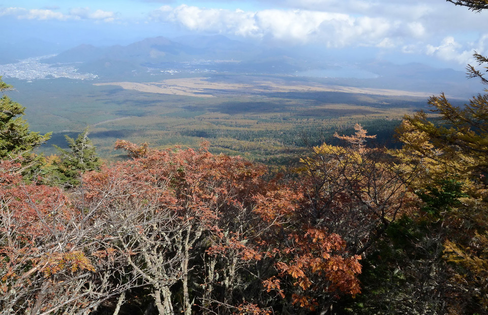Cánh rừng từ chân núi Phú Sĩ trải dài đến đỉnh núi đang dần chuyển sang màu vàng và đỏ. (Nguồn: Hy Hữu/TTXVN)