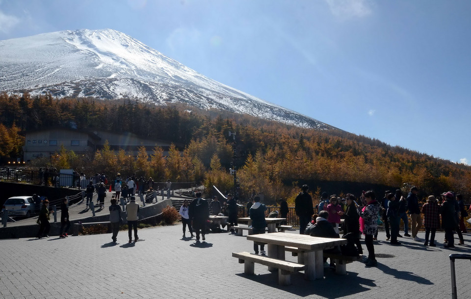 Rất đông khách nước người đến núi Phú Sĩ để thưởng ngoạn mùa lá vàng, trong đó chủ yếu là khách du lịch Trung Quốc. (Nguồn: Hy Hữu/TTXVN)