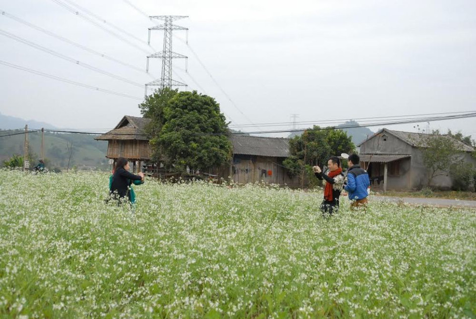 Du khách mê mải tạo dáng. (Ảnh: Hà Thủy/Vietnam+)