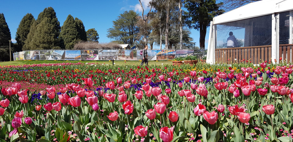 Một góc lễ hội họa Floriade 2019. (Nguồn: Nguyễn Minh/TTXVN)