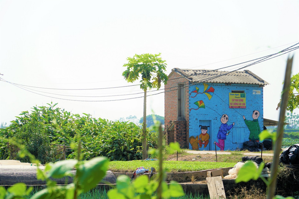 Một bức họa nổi bật giữa cánh đồng rau sạch Chử Xá. (Ảnh: Minh Hiếu/Vietnam+)