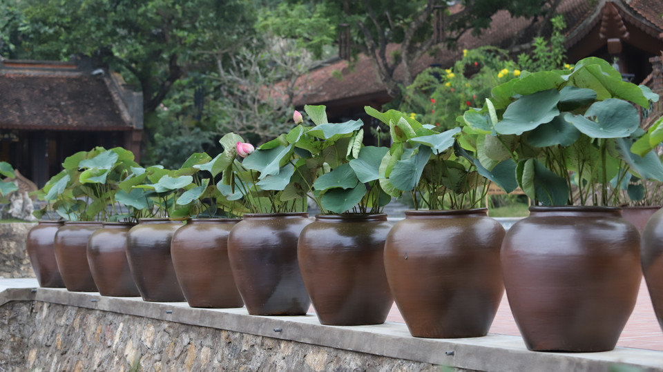 (Ảnh: Phan Lâm/Vietnam+)