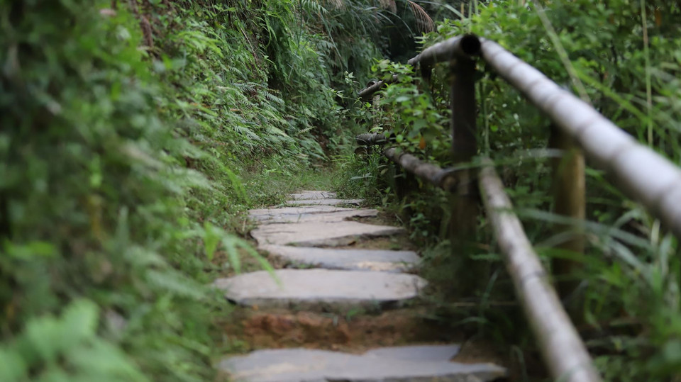 (Ảnh: Phan Lâm/Vietnam+)