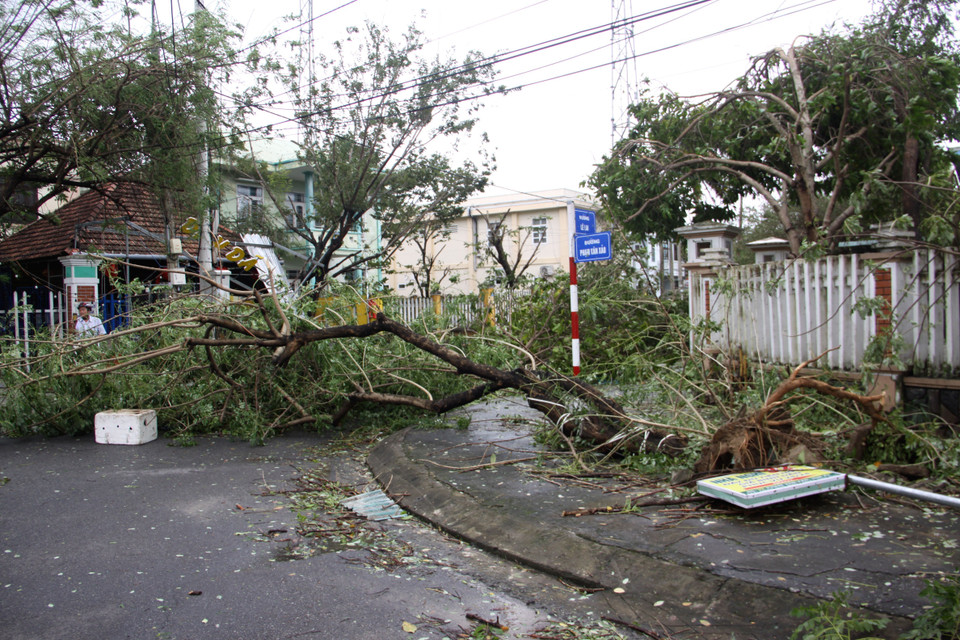 Gió bão làm gãy, sập đổ hàng loạt cây xanh, hàng quán trên các tuyến phố trong địa bàn thành phố Tam Kỳ, tỉnh Quảng Nam. (Ảnh: Trịnh Bang Nhiệm/TTXVN)