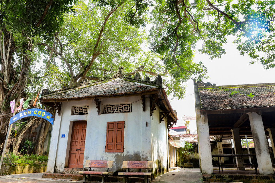 Xuôi từ cổng làng xuống là khu vực chợ cổ truyền thống dưới bóng những cây đại thụ tỏa bóng mát cả một vùng trời. (Ảnh: Hoài Nam/Vietnam+)