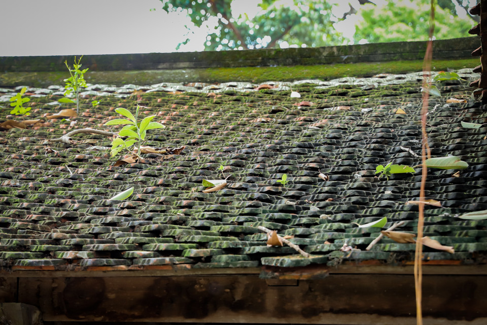  Mái ngói của khu chợ nhuốm màu thời gian, mang phong cách cổ kính và đem lại cảm giác hoài cổ, chúng mang dấu ấn văn hóa của các thời kì lịch sử đã qua. (Ảnh: Hoài Nam/Vietnam+)