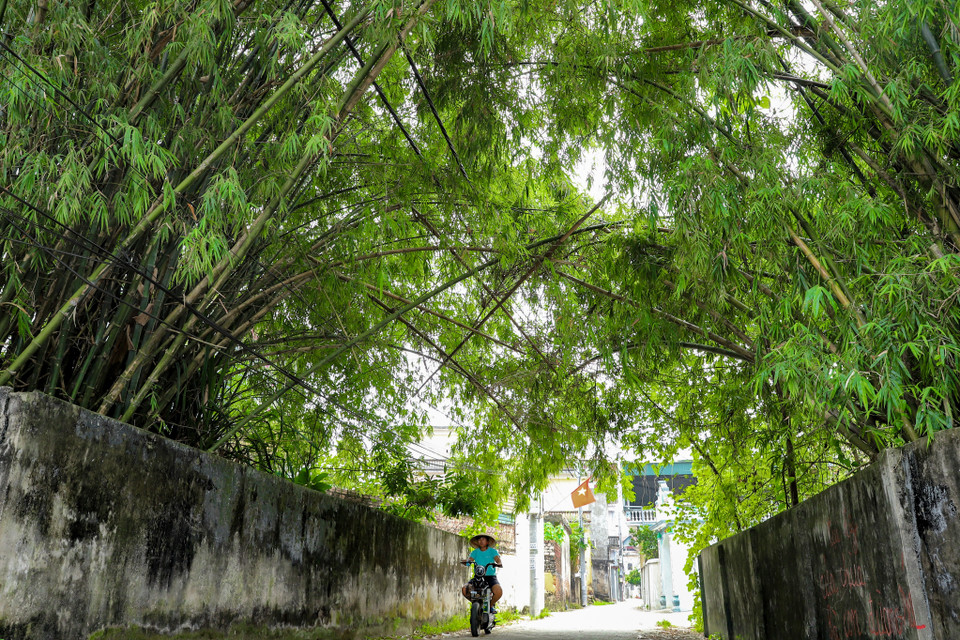 Cây đa, giếng nước, sân đình, lũy tre làng lao xao trong gió là những hình ảnh gắn liền với nét văn hóa làng quê đặc trưng của đồng bằng Bắc Bộ. (Ảnh: Hoài Nam/Vietnam+)