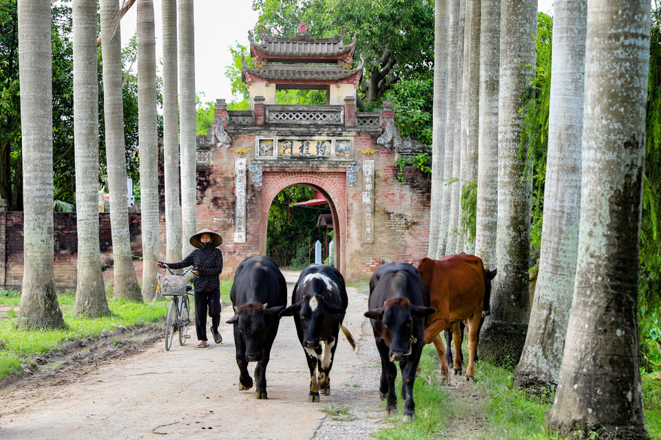 Người dân Ước Lễ còn có một cổng phụ được xây năm 1998, tuy không có giá trị lịch sử và kiến trúc cao như cổng chính nhưng cũng là một phần biểu tượng của làng. Người dân nơi đây luôn tự hào về những công trình cổ còn được gìn giữ tới ngày hôm nay. (Ảnh: Hoài Nam/Vietnam+)