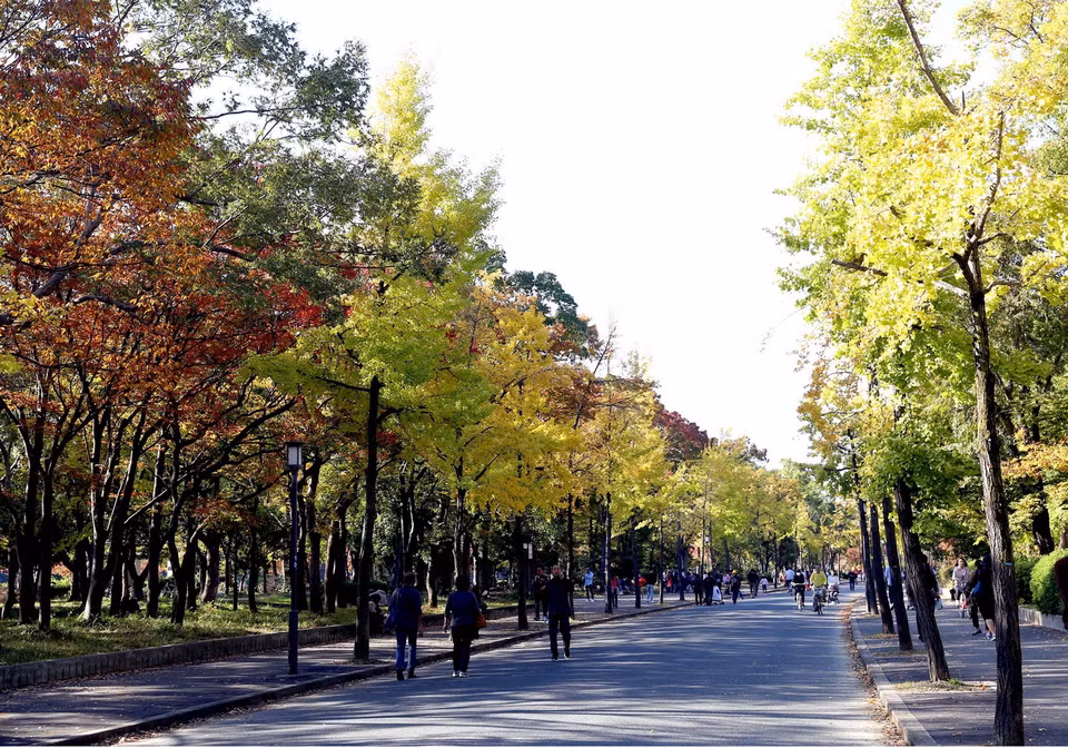 Lâu đài cổ Osaka nằm ở trung tâm của công viên cùng tên rộng hơn 60.000 m2. (Nguồn: Huy Hùng/TTXVN)