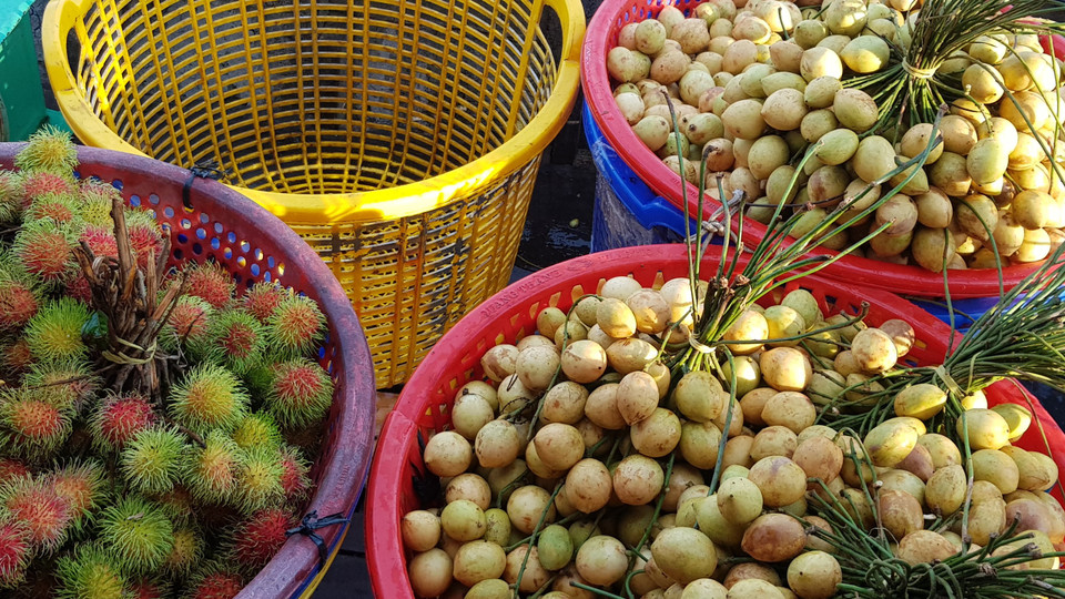 Điểm đặc biệt ở khu chợ nổi Cái răng chính là chuyên buôn bán các loại hoa quả trái cây những đặc sản của vùng sông nước đồng bằng sông Cửu Long. (Ảnh: Vietnam+)