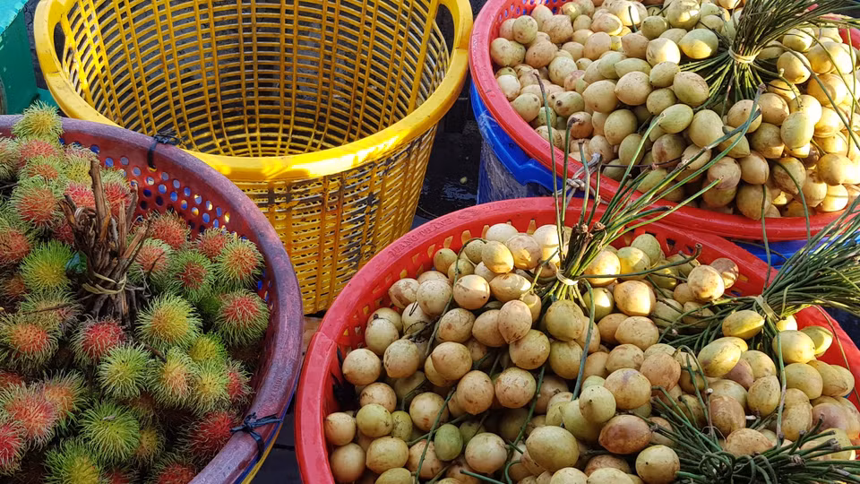 Điểm đặc biệt ở khu chợ nổi Cái răng chính là chuyên buôn bán các loại hoa quả trái cây những đặc sản của vùng sông nước đồng bằng sông Cửu Long. (Ảnh: Vietnam+)