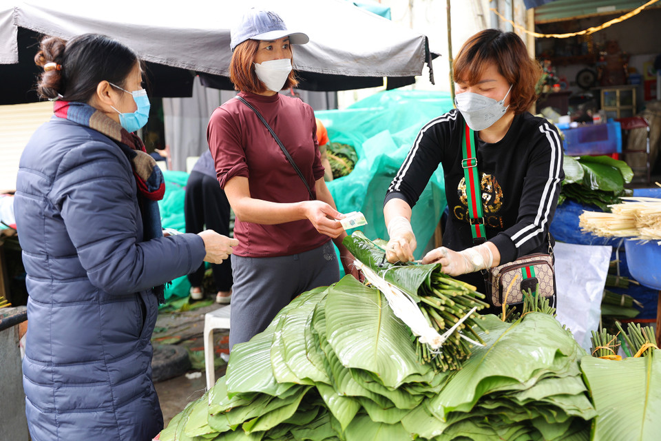 Tiểu thương cho biết lá dong rừng có giá trung bình là 120 nghìn đồng/100 lá, lá dong quê có giá là 150 nghìn đồng/100 lá, những loại lá ‘hàng tuyển’ lên tới 200-250 nghìn đồng/100 lá. (Ảnh: Hoài Nam/Vietnam+)