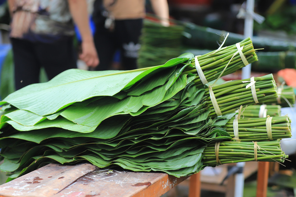 Lá dong cùng loại sẽ được xếp sẵn 40-50 lá một bó. (Ảnh: Hoài Nam/Vietnam+)