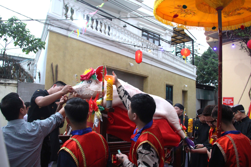 Mỗi "ông lợn" nặng trên dưới 200kg nên người khiêng vác đều phải là thanh niên trai tráng trong làng. (Ảnh: Hồng Ngọc/Vietnam+)