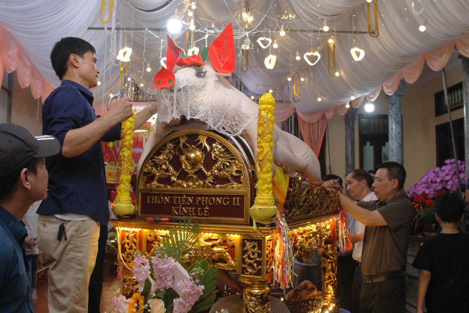 Nhiều người dậy từ 3h sáng tất bật chuẩn bị cho lễ rước "ông lợn". Công đoạn trang trí "ông lợn" thường mất khoảng từ 2 đến 3 tiếng. Riêng những tấm giấy màu, hoa, phụ kiện được người dân chuẩn bị trong suốt nửa tháng qua. (Ảnh: Hồng Ngọc/Vietnam+)