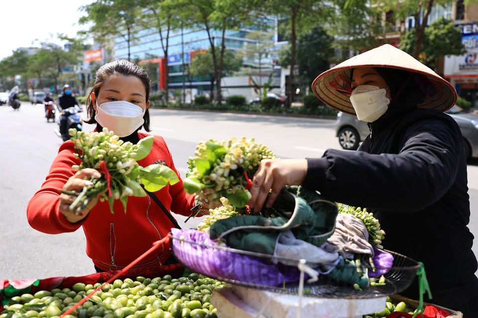 Chị Trúc, khách mua hoa chia sẻ: ‘Năm nào nhà tôi cũng mua hoa bưởi để thắp hương và để trong nhà. Hôm nay đi lễ tôi mua 5 bó để dâng hương nhiều nơi.’ (Ảnh: Hoài Nam/Vietnam+)