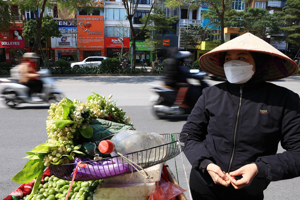 Chị Phạm Thu Thảo, quê ở Hưng Yên đã nhiều năm gắn bó với việc bán hoa bưởi, cho biết: ‘Mọi năm tôi bán được hàng chục cân hoa bưởi mỗi ngày nhưng năm nay bán kém, ngày chỉ được vài cân.’ (Ảnh: Hoài Nam/Vietnam+)