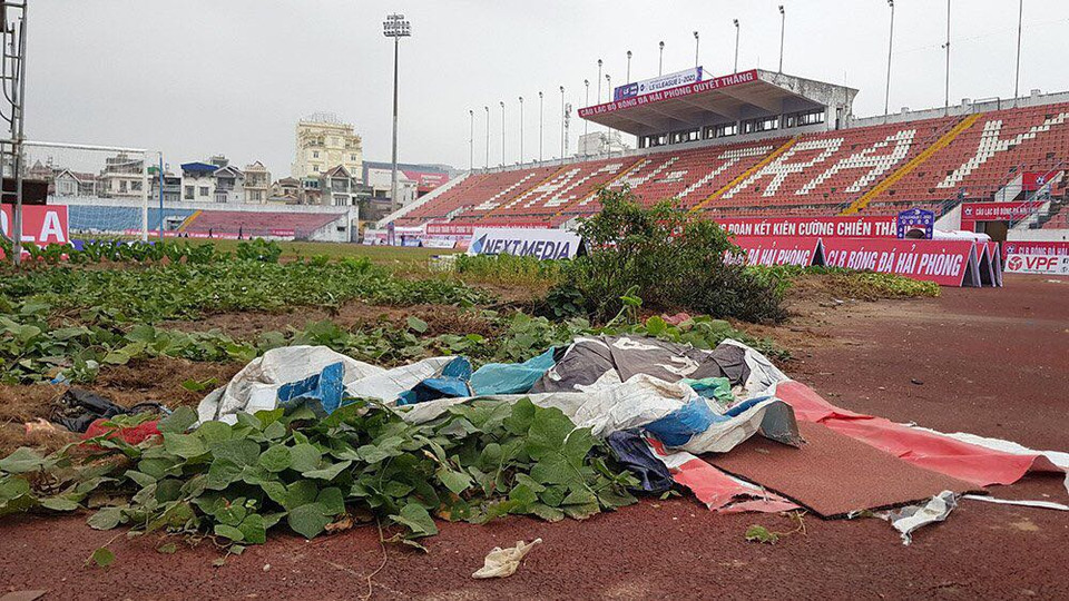 Nhiều phóng viên tác nghiệp trận đấu giữa Hải Phòng với Nam Định ở vòng 2 V-League 2021 vừa qua đã vô cùng bất ngờ với 'khu vườn' đặt ngay cạnh sân đấu của cầu thủ. (Ảnh: CTV/Vietnam+)