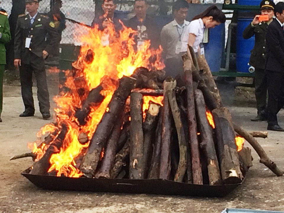 Sừng tê giác bị đốt cháy thành tro và không còn giá trị sử dụng. (Ảnh: Thanh Tâm/Vietnam+)