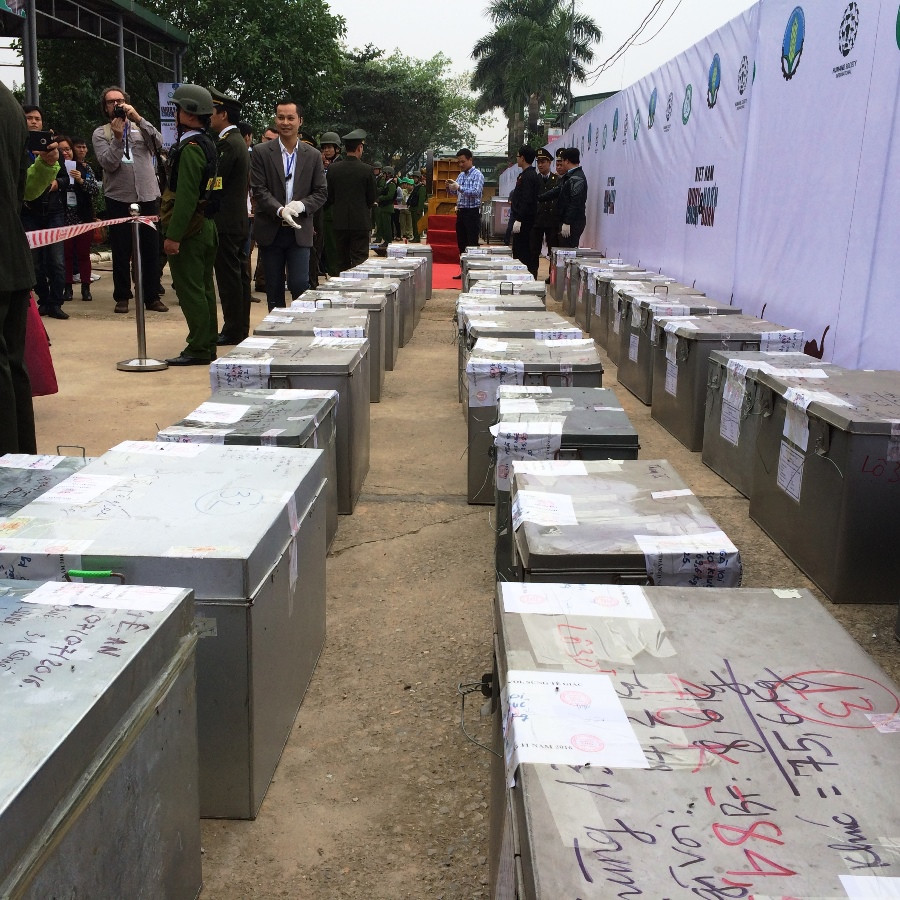 Các sản phẩm tiêu hủy bao gồm ngà voi, sừng tê giác và một số mẫu xương gấu, xương hổ. (Ảnh: Thanh Tâm/Vietnam+)