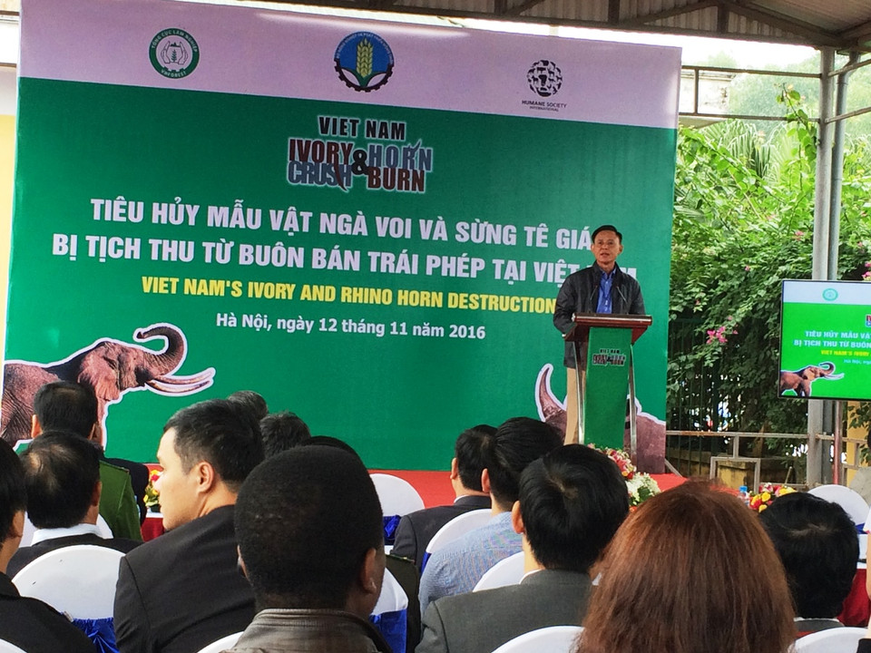 Thứ trưởng Bộ Nông nghiệp và Phát triển Nông thôn tuyên bố sẽ tiêu hủy toàn bộ các sản phẩm là tang vật của các vụ buôn bán động vật hoang dã trái phép. (Ảnh: Thanh Tâm/Vietnam+)