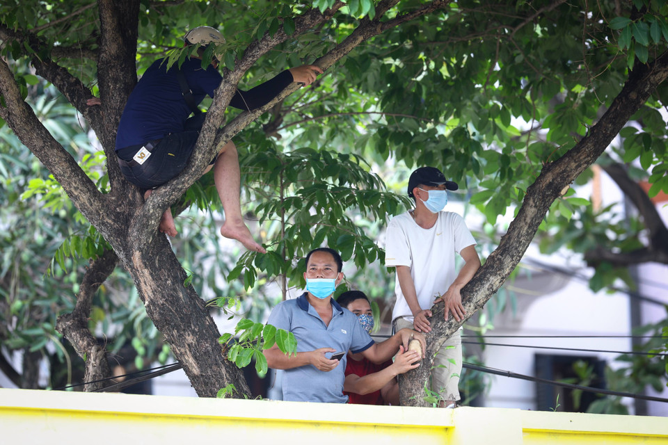 Bất chấp thời tiết nắng nóng, oi bức vào lúc 15 giờ chiều, các cổ động viên đã leo lên cây để có thể theo dõi đội nhà Hòa Bình FC thi đấu. (Ảnh: PV/Vietnam+)