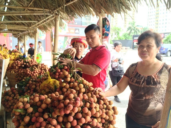 Người tiêu dùng Thủ đô hào hứng lựa chọn mua vải thiều Lục Ngạn. (Ảnh: Thanh Tâm/Vietnam+)