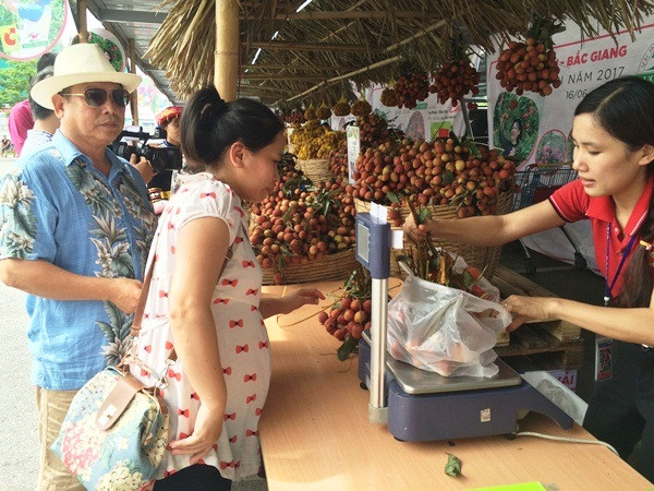 Nhiều người tiêu dùng Thủ đô đã đến mua hàng ngay trong buổi sáng khai mạc Tuần lễ vải thiều Lục Ngạn năm nay. (Ảnh: Thanh Tâm/Vietnam+)