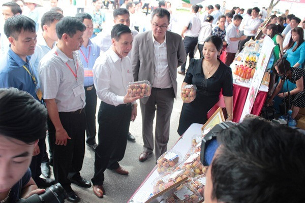 Lãnh đạo tỉnh Bắc Giang trực tiếp giới thiệu sản phẩm vải thiều của địa phương. (Ảnh: Thanh Tâm/Vietnam+)