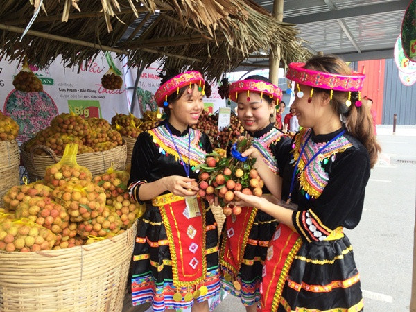 Vải thiều Lục Ngạn là một trong những loại vải ngon nhất, có độ ngọt thanh, vỏ đỏ khi chín tới, cùi dày và hạt nhỏ. (Ảnh: Thanh Tâm/Vietnam+)