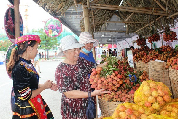 Người tiêu dùng Thủ đô lựa chọn vải tại Tuần lễ vải thiều. (Ảnh: Thanh Tâm/Vietnam+)