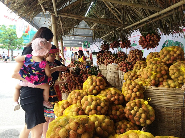 Đại diện tỉnh Bắc Giang cho biết, vải thiều năm nay có chất lượng cao hơn so với mọi năm do năng suất giảm và người dân chăm sóc kỹ lưỡng hơn. (Ảnh: Thanh Tâm/Vietnam+)