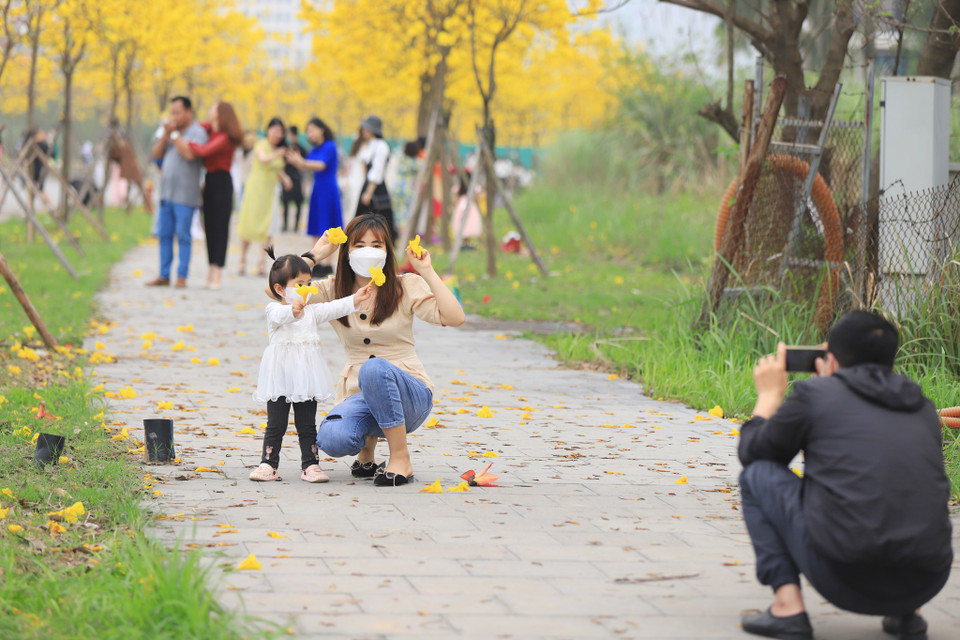 Nhiều gia đình cũng tới đây để ngắm hoa và chụp ảnh, tận hưởng cảnh đẹp tự nhiên giữa lòng đô thị. (Ảnh: Hoài Nam/ Vietnam+)
