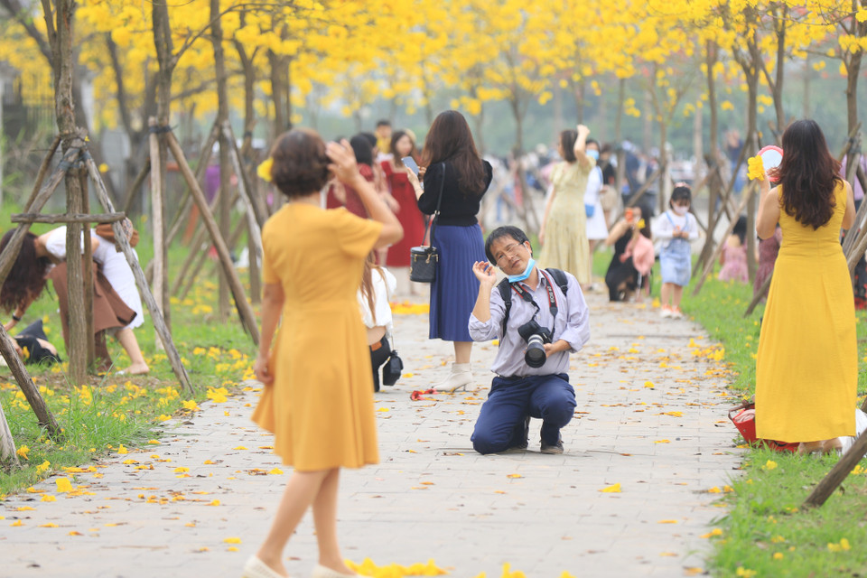 Muôn kiểu tạo dáng ‘check-in’ dưới con đường rực rỡ sắc vàng của hoa phong linh. (Ảnh: Hoài Nam/Vietnam+)