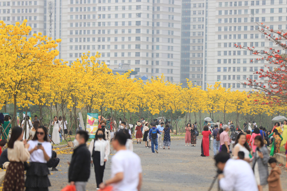 Mặc dù hôm nay là ngày trong tuần nhưng con đường này thu hút hàng trăm người đến đây ngắm cảnh và chụp ảnh. (Ảnh: Hoài Nam/Vietnam+)