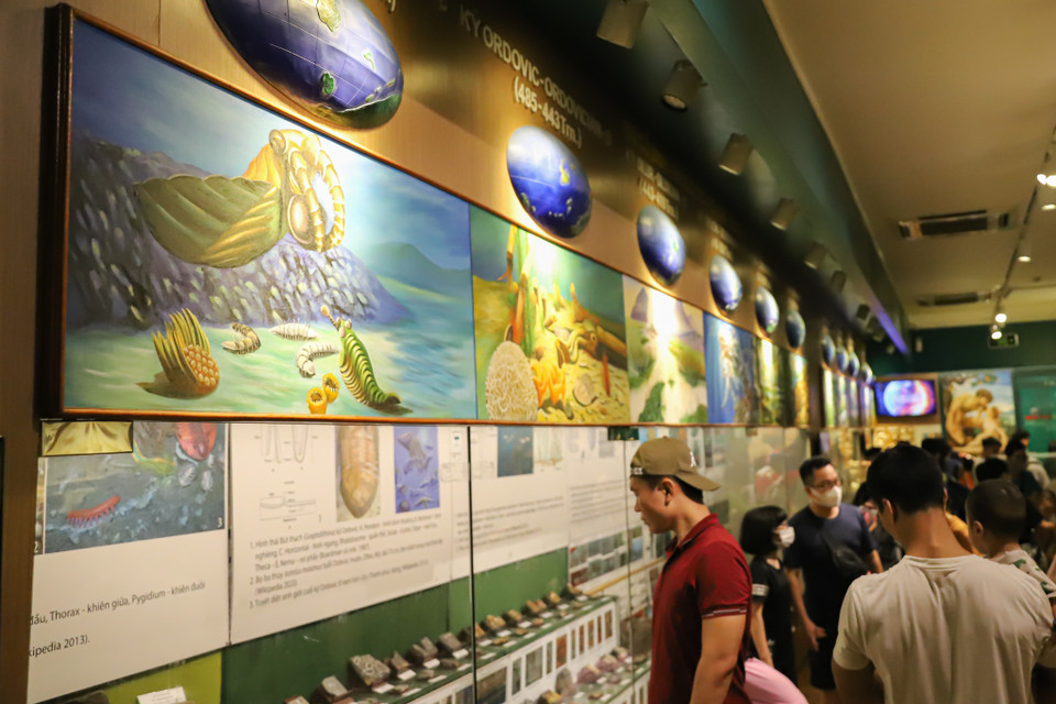 Khu trưng bày về Lịch sử sự sống với các mẫu hóa thạch tiêu biểu của 4 thời kỳ phát triển địa chất. (Ảnh: Hoài Nam/Vietnam+)