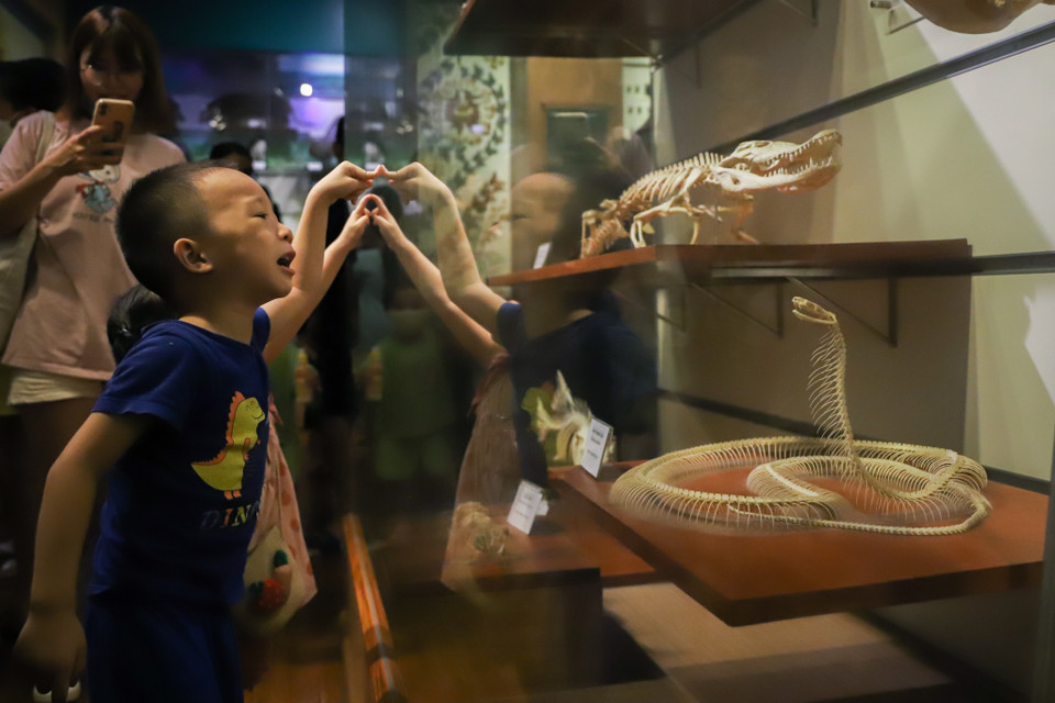 Nhiều bạn nhỏ rất hứng thú với khu vực này, đặc biệt là với mẫu vật về bộ xương rắn hổ mang chúa. (Ảnh: Hoài Nam/Vietnam+)