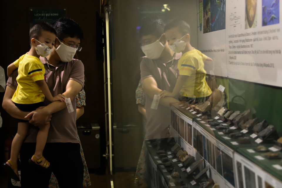 Khám phá bảo tàng bạn sẽ phải vỡ òa vì ngạc nhiên và phấn khích trước một thế giới động thực vật rộng lớn với đầy đủ các chủng loại khác nhau. (Ảnh: Hoài Nam/Vietnam+)