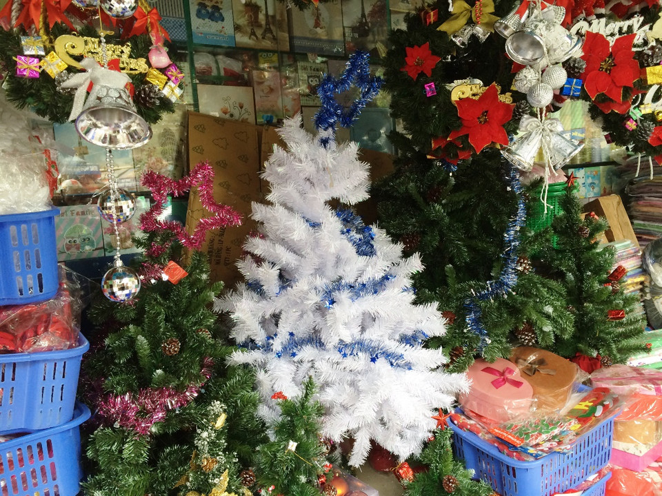 Các cây thông nhỏ có chiều cao khoảng 0,6-1,5m dao động từ 150.000-400.000 đồng và được nhiều gia đình rất ưa chuộng. (Ảnh: Thanh Tâm/Vietnam+)