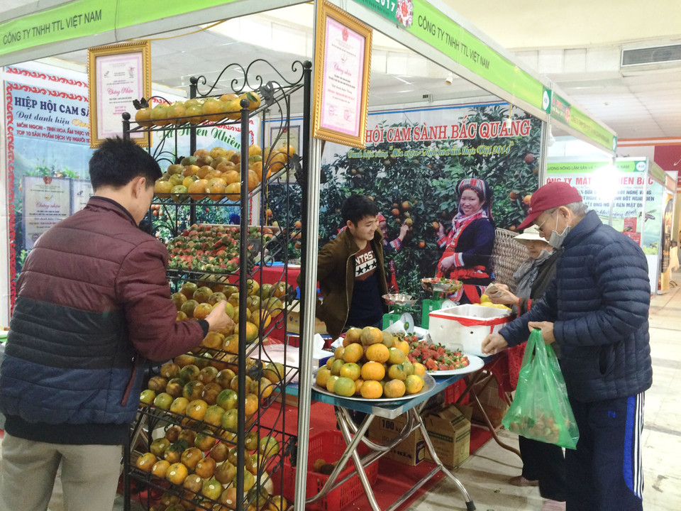 Gian hàng hoa quả "chuộng" người mua với chất lượng đảm bảo. (Ảnh: Thanh Tâm/Vietnam+)