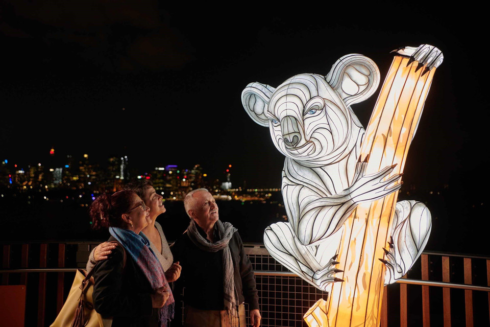 Đèn lồng ánh sáng gấu Koala tại vườn thú Taronga. (Ảnh: Nguyễn Hoàng Linh/TTXVN)