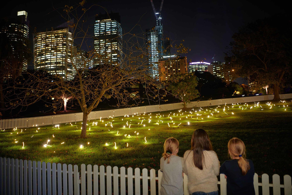 Cánh đồng ánh sáng. (Ảnh: Nguyễn Hoàng Linh/TTXVN)