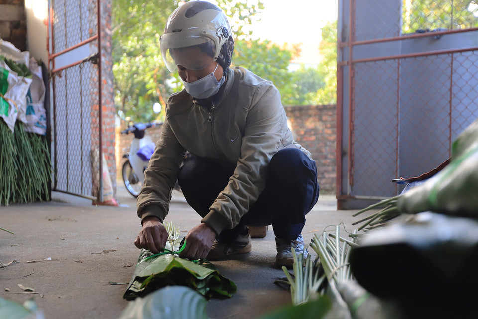 Anh Vinh, lái buôn lá dong tận tay kiểm tra những bó lá để lựa chọn nhập hàng, anh cho biết năm nay giá nhập vào tăng nhẹ so với năm trước. (Ảnh: Hoài Nam/Vietnam+)