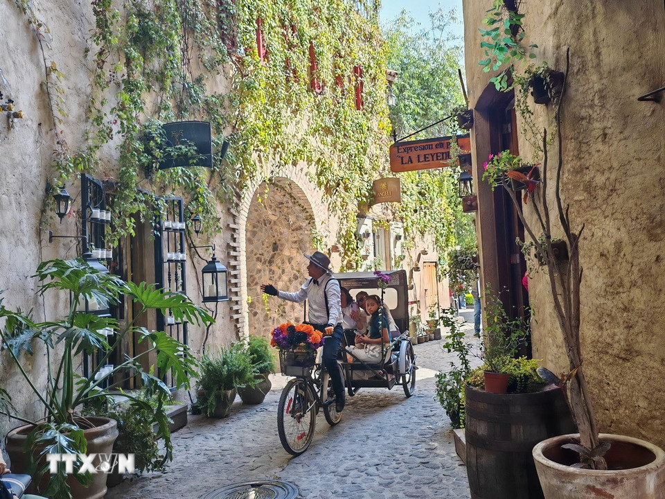 Mọi góc nhỏ ở Val’Quirico đều mang hơi thở Địa Trung Hải. Đường đá uốn lượn, những dãy nhà gỗ và đá mang sắc vàng nâu trầm ấm tạo cảm giác như lạc vào một làng cổ châu Âu. (Ảnh: Phương Lan/TTXVN)