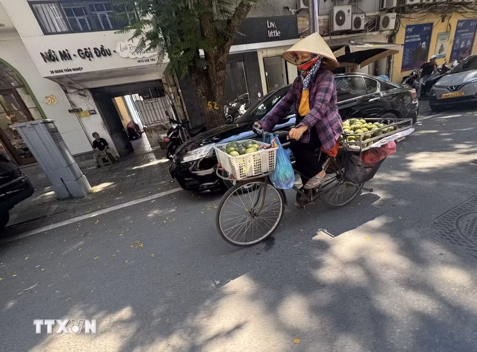 Những tuyến đường có nhiều cây xanh, bóng mát được người bán hàng rong lựa chọn khi di chuyển. (Ảnh: Quốc Lũy/TTXVN)