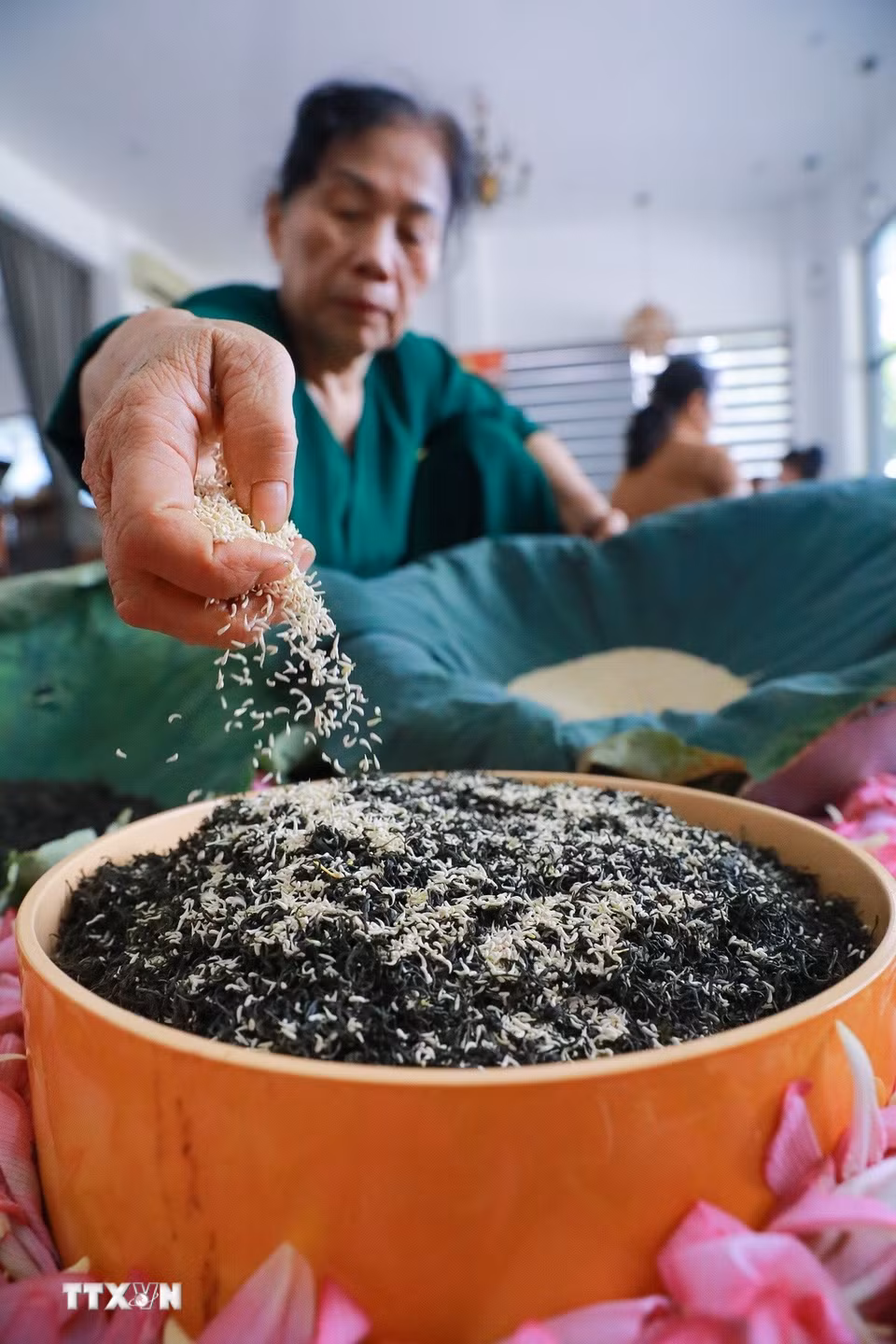 Công đoạn ướp trà sen Hồ Tây cũng khá cầu kỳ, phức tạp, cứ một lượt trà lại rải một lượt gạo sen lên, 2 lạng sen thì đủ để rải đều lên 1kg trà. Ủ 2-3 ngày lại bỏ ra, sấy khô trà, sàng bỏ gạo sen rồi tiếp tục rải lượt gạo sen mới. Để ra một cân chè ướp sen thì phải qua 5-7 lần vào hương như thế thì trà sen mới lên hương, như vậy để cho ra thành phẩm cần 15 -21 ngày. (Ảnh: Khánh Hoà/TTXVN)