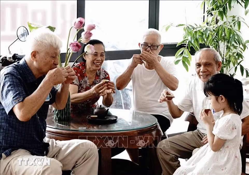 Hàn huyên bên những người bạn quý, thưởng thức hương vị tuyệt phẩm thơm đậm vị sen của chén trà từ lâu đã trở thành một điều đặc biệt của nguời Hà Nội. (Ảnh: Khánh Hoà/TTXVN)