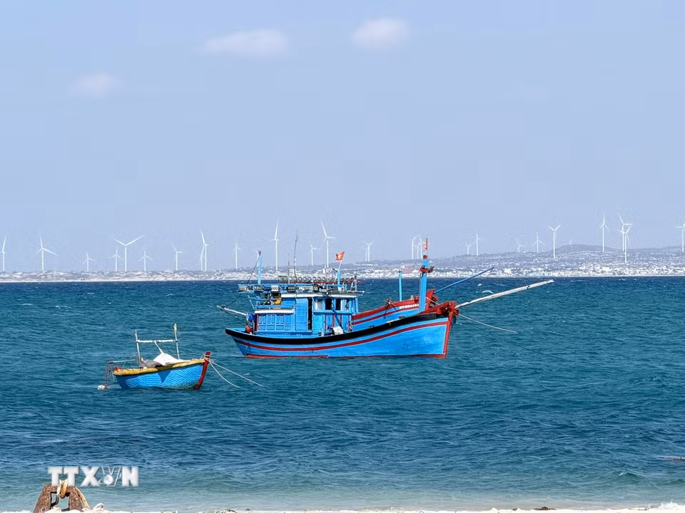 Đảo Hòn Cau với nước biển xanh biếc nhìn về hướng đất liền. (Ảnh: Nguyễn Thanh/TTXVN)