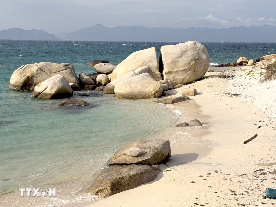 Hòn Cau được bao quanh bởi hàng vạn khối đá nguyên sinh có nhiều kích cỡ và hình thù khác nhau như có sự sắp đặt của bàn tay con người. (Ảnh: Nguyễn Thanh/TTXVN)