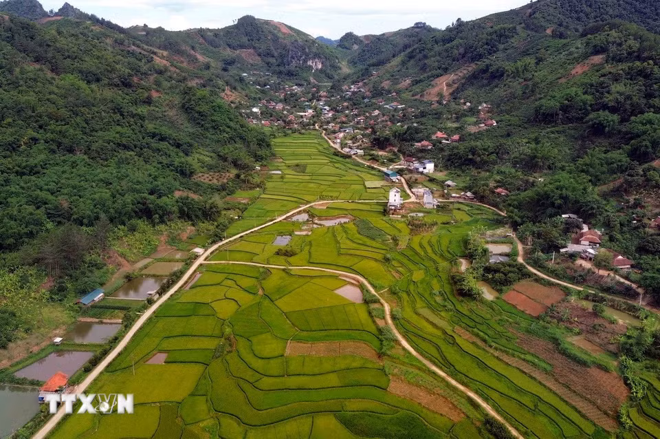 Ruộng bậc thang tại bản Hùn, phường Chiềng Cơi, tỉnh Sơn La. (Ảnh: Quang Quyết/TTXVN)